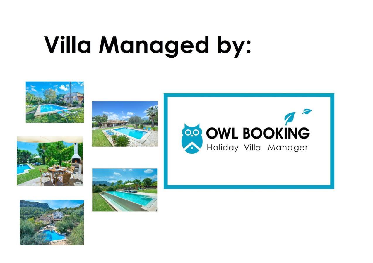 Villa Owl Gabriel - Rustic *